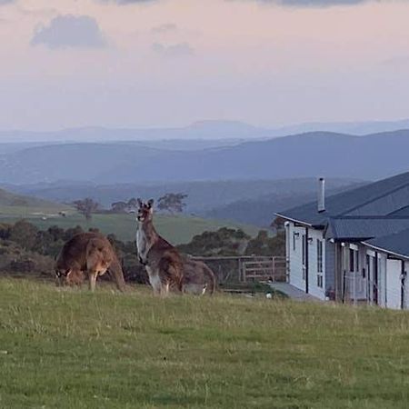 Rooks Edge Bed and Breakfast Gisborne Eksteriør billede