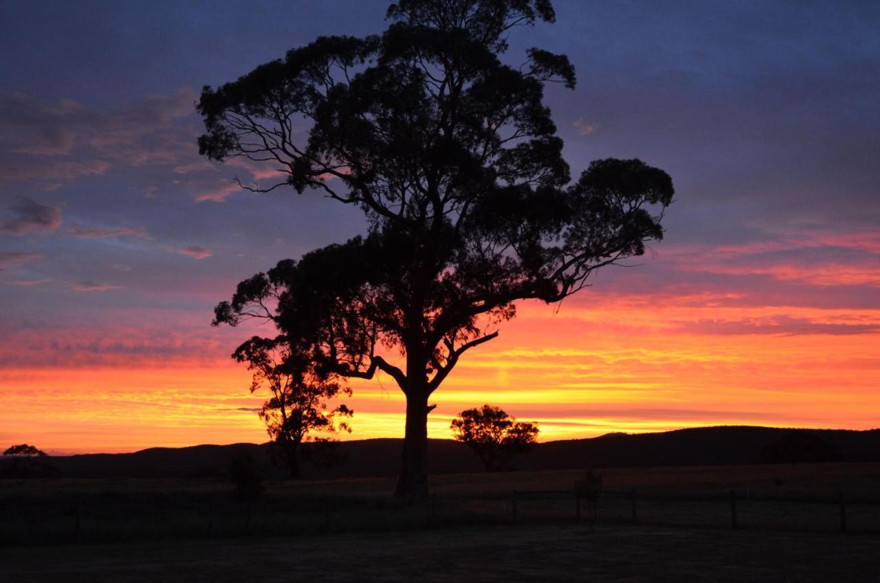 Rooks Edge Bed and Breakfast Gisborne Eksteriør billede