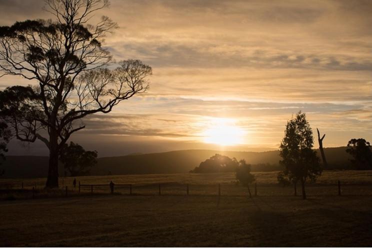 Rooks Edge Bed and Breakfast Gisborne Eksteriør billede