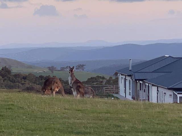 Rooks Edge Bed and Breakfast Gisborne Eksteriør billede